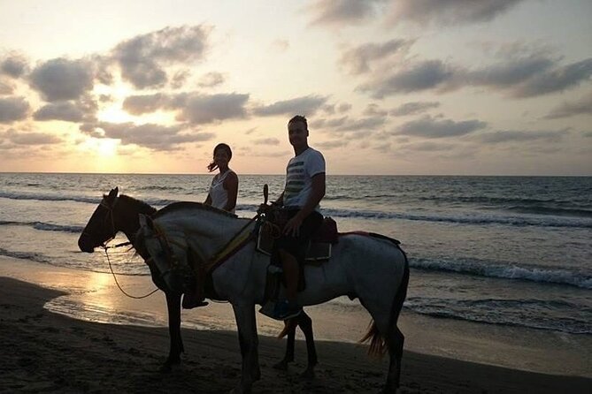 Sunset Horseback Riding Tour From Punta Cana - Inclusions and Amenities