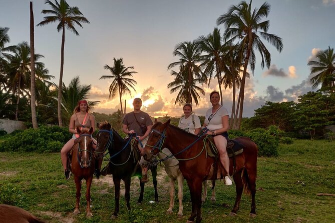 Sunset Horseback Riding Tour From Punta Cana - Customer Feedback