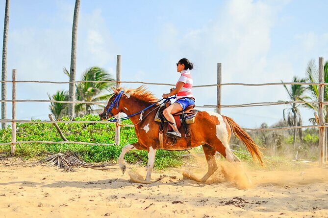 Sunset Horseback Riding Tour in Punta Cana (Private Option) - What Makes This Tour Special?