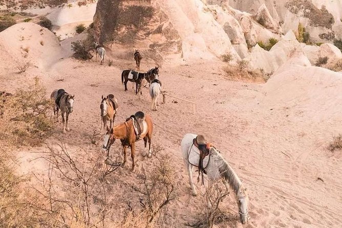 Sunset Horsebackriding Tour Through the Valleys of Cappadocia - Health and Accessibility Considerations