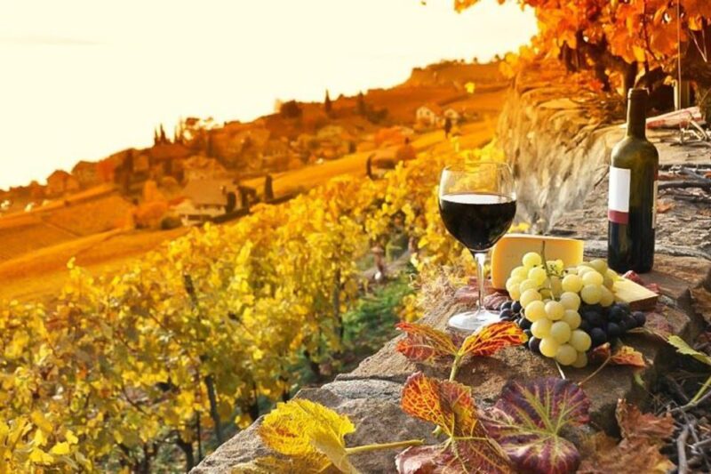Sunset in Siena & Dinner in Chianti Tour From Florence - Tour Overview