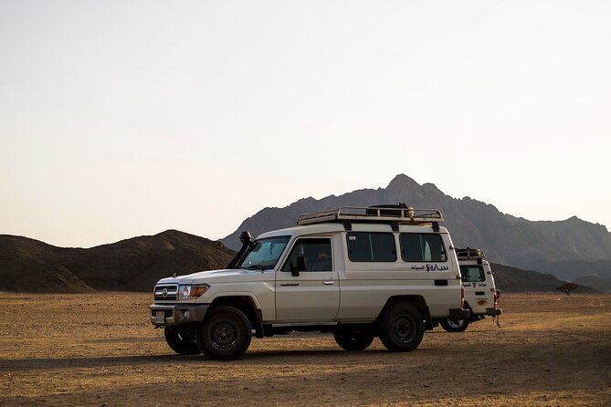 Sunset Jeep Safari Dinner, Camel Ride, Show & Transfers- Hurghada - Tips for Travelers