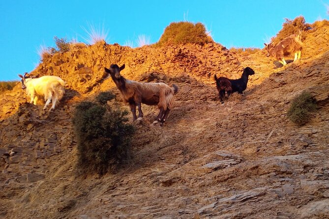 Sunset Jeep Tour in Crete - Cancellation Policy