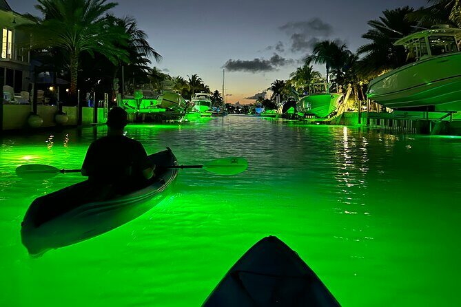 Sunset Kayak Adventure with Enchanting Underwater Lights - The Value of This Sunset Kayak Tour