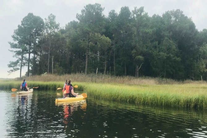 Sunset Kayak Excursion - Rehoboth Bay - Customer Reviews