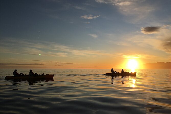 Sunset Kayak Tour in Kaikoura - Arrival and Departure