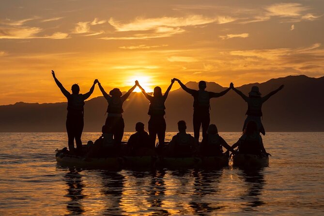 Sunset Kayak Tour in Kaikoura - Additional Information