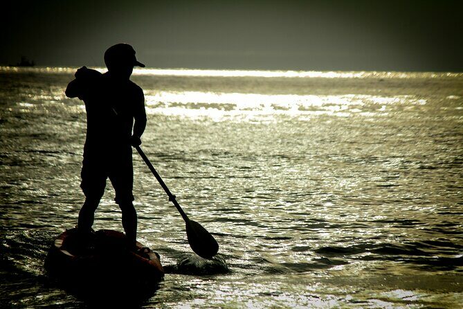 Sunset Kayak Tour of La Jolla Caves - The Practical Details