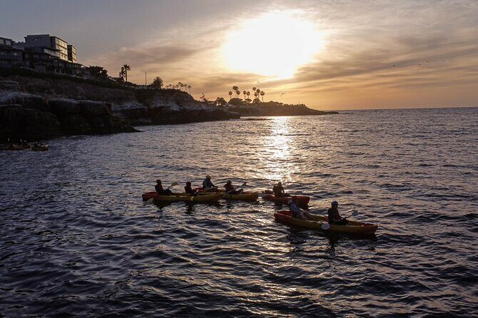 Sunset Kayak Tour of La Jolla Caves - Authentic Feedback from Travelers