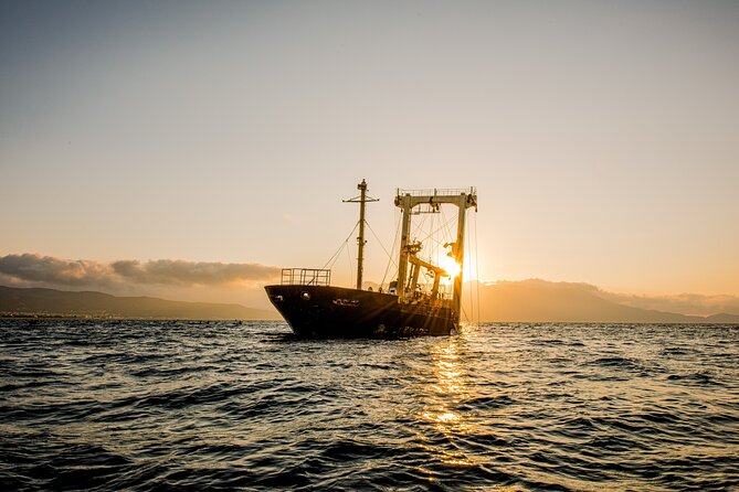 Sunset Kayak Tour to Kissamos Bay Shipwreck & Exclusive Beach - Meeting Point and Route