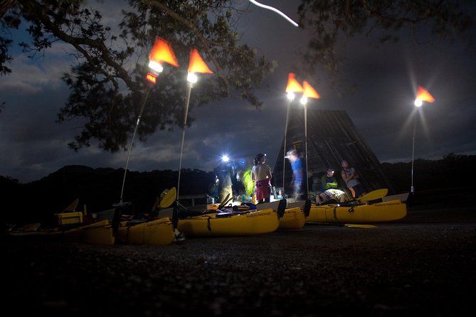 Sunset Kayak Tour to Rangitoto Island - Group Size and Guides