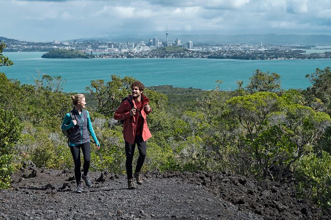 Sunset Kayak Tour to Rangitoto Island - Environmental Considerations
