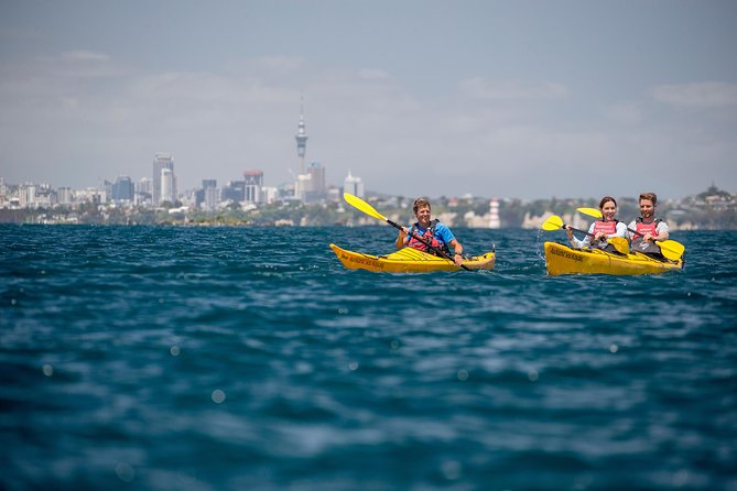 Sunset Kayak Tour to Rangitoto Island - Customer Feedback on Guides