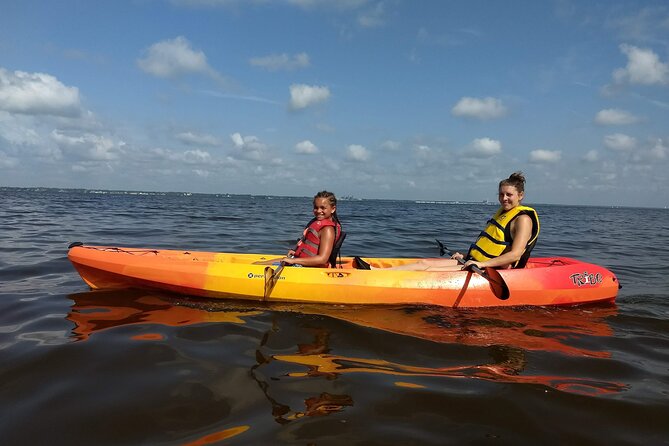 Sunset Kayaking Tour at Manatee Cove With Manatee & Dolphin Sightings - Diverse Wildlife and Ecosystems