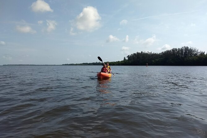 Sunset Kayaking Tour at Manatee Cove With Manatee & Dolphin Sightings - Tour Duration and Group Size