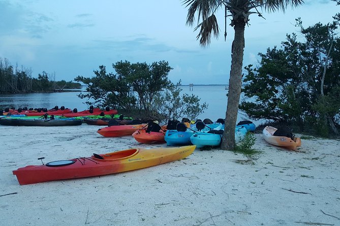 Sunset Kayaking W/ Florida Bioluminescence Combo Tour | Haulover Canal - Whats Included in the Tour