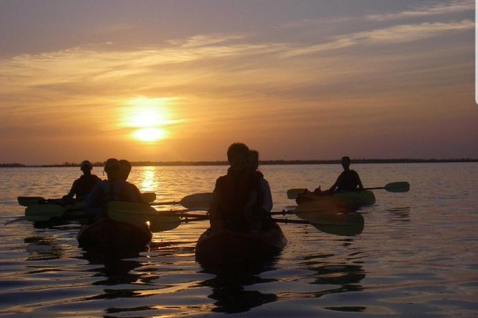 Sunset Kayaking W/ Florida Bioluminescence Combo Tour | Haulover Canal - Bioluminescent Plankton Viewing