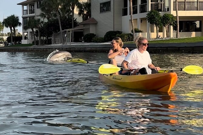 Sunset Kayaking With Dolphins - A Guided Kayaking Adventure