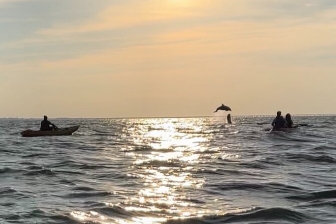 Sunset Kayaking With Dolphins - Suitable for Solo Travelers