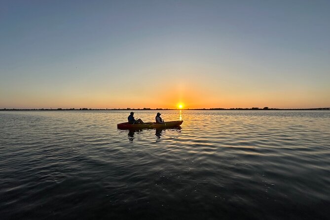 Sunset Kayaking With Dolphins - Traveler Feedback and Recommendations