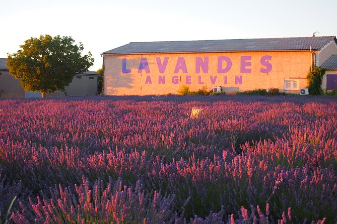Sunset Lavender Tour From Aix-En-Provence - Meeting and Pickup Details