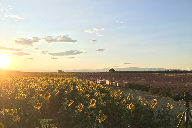 Sunset Lavender Tour From Aix-En-Provence - Guest Feedback: Notable Comments