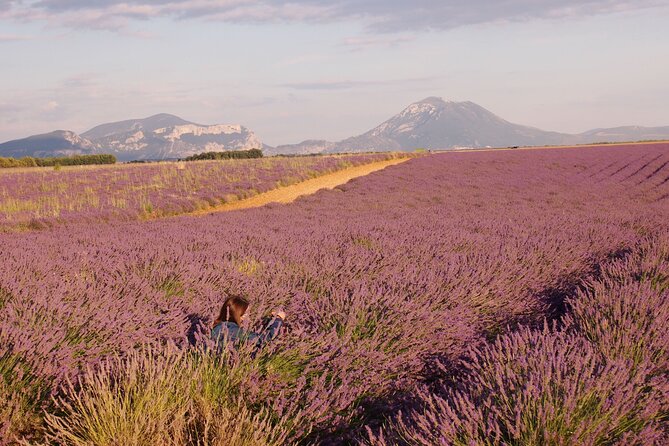 Sunset Lavender Tour in Valensole With Pickup From Marseille - Cancellation Policy