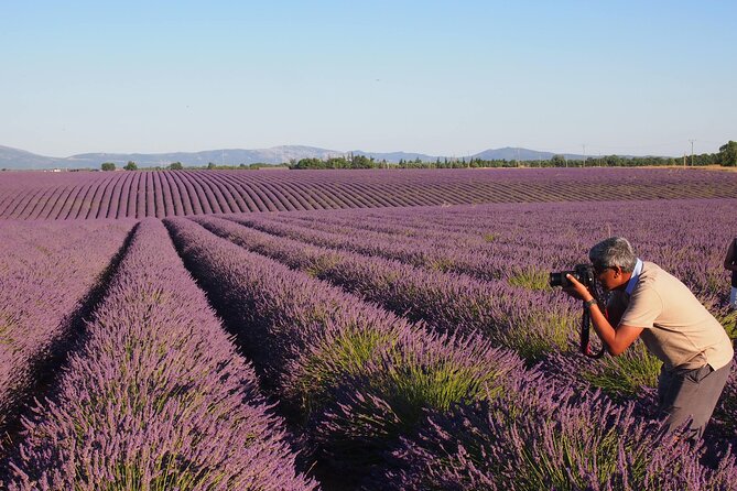 Sunset Lavender Tour in Valensole With Pickup From Marseille - Additional Tour Information