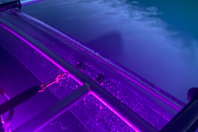 Sunset LED Clear Kayak Rentals for Glacier Park - What Makes This Kayak Experience Stand Out?