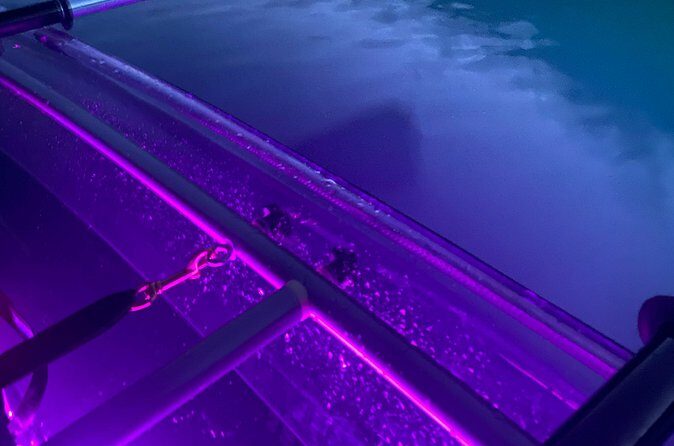 Sunset LED Clear Kayak Rentals for Glacier Park - Authentic Experiences from Past Participants