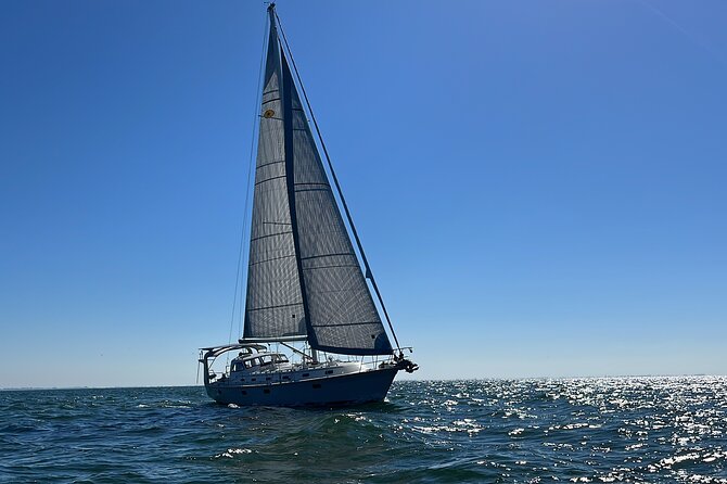 Sunset Luxury Sail on Tampa Bay - Sailing Highlights