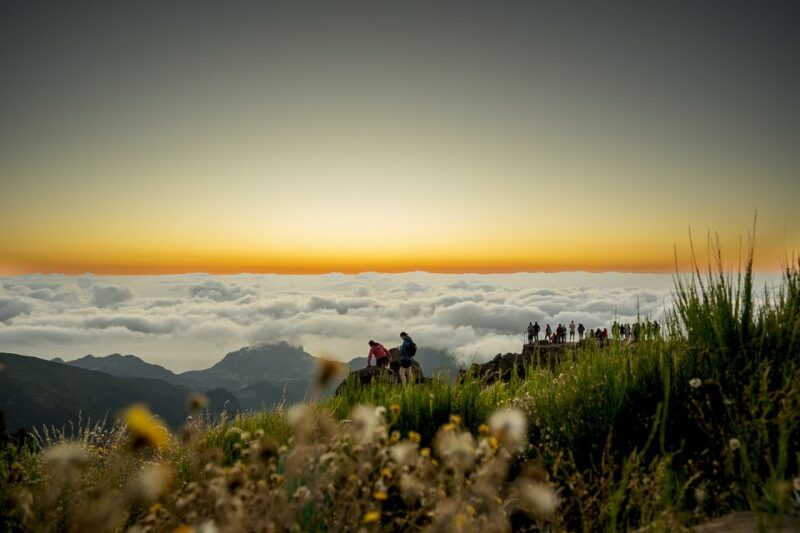 Sunset Madeira Highlights Route With Food and Drinks. - Pricing Details