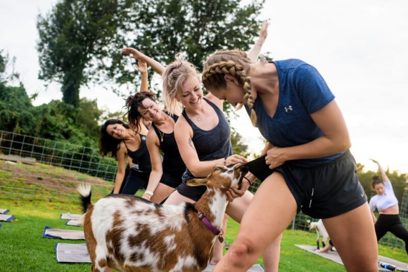 Sunset Maui Goat Yoga With Live Music - Booking Information