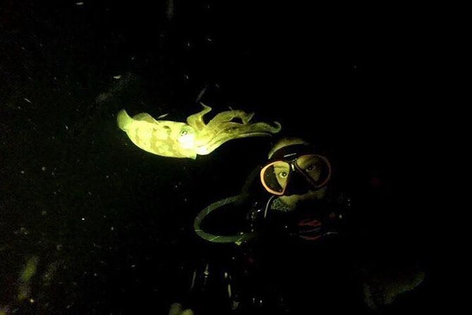 Sunset Night Dive for Certified Divers in St Thomas - Transportation and Parking