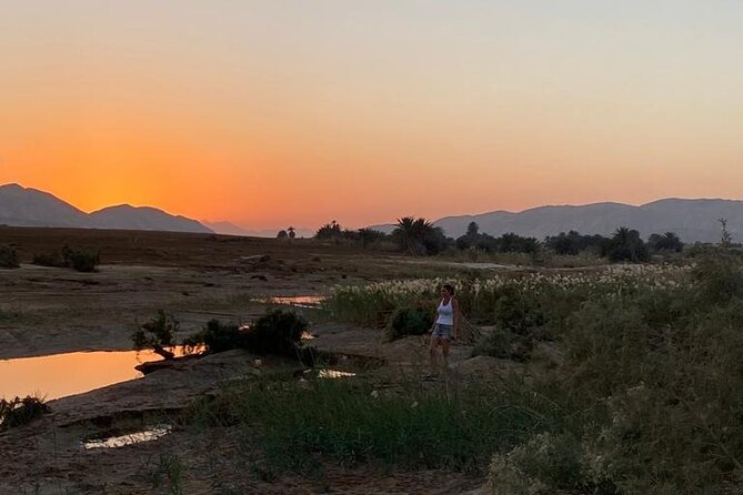 Sunset Oasis Desert Experience in El Gouna and Hurghada - Exploring the Dry Canyon