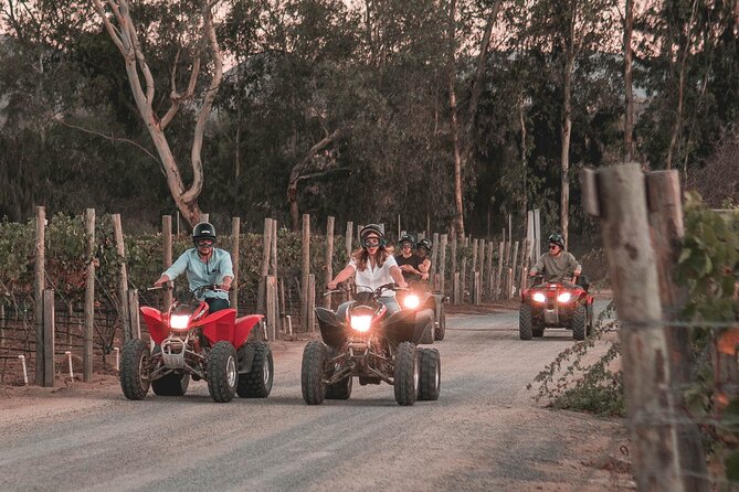 SUNSET off Road Experience Around Valle De Guadalupe! - Accessibility and Participation
