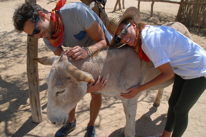 Sunset Pacific Donkey Hiking Tour - Meeting and Pickup Information