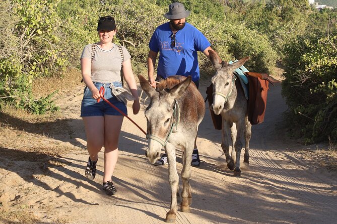 Sunset Pacific Donkey Hiking Tour - Health and Safety Recommendations