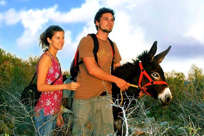 Sunset Pacific Donkey Hiking Tour - Afternoon Departure Options