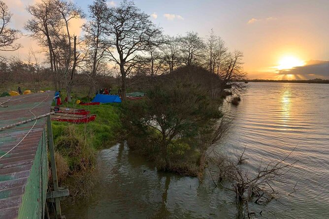 Sunset Paddle-Boarding Tour in Auckland - Booking and Confirmation