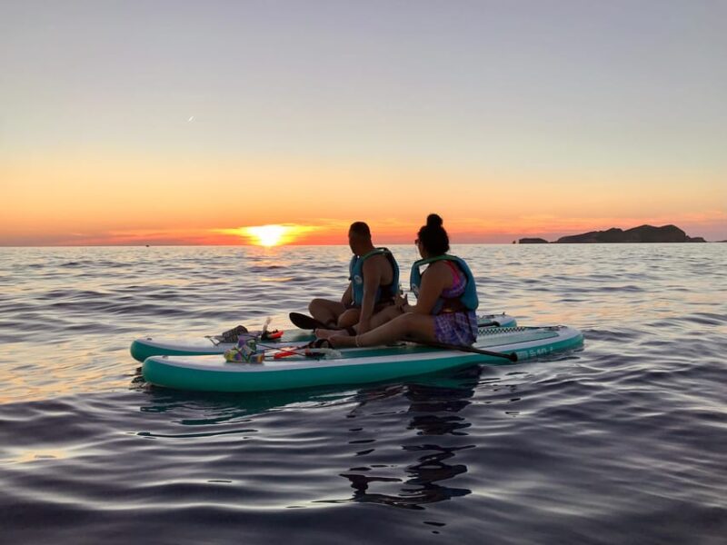 Sunset Paddle Surf, Caves, Snorkel & Cava - Key Points