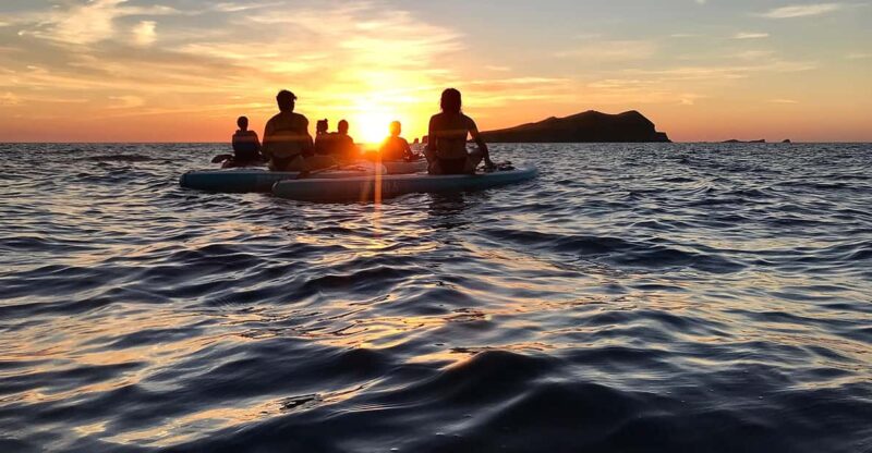 Sunset Paddle Surf, Caves, Snorkel & Cava - Experience Highlights