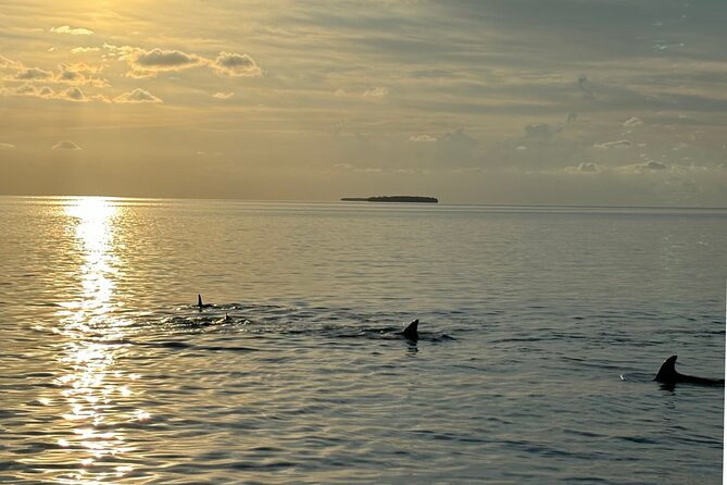 Sunset Powerboat Cruise - Frequently Asked Questions