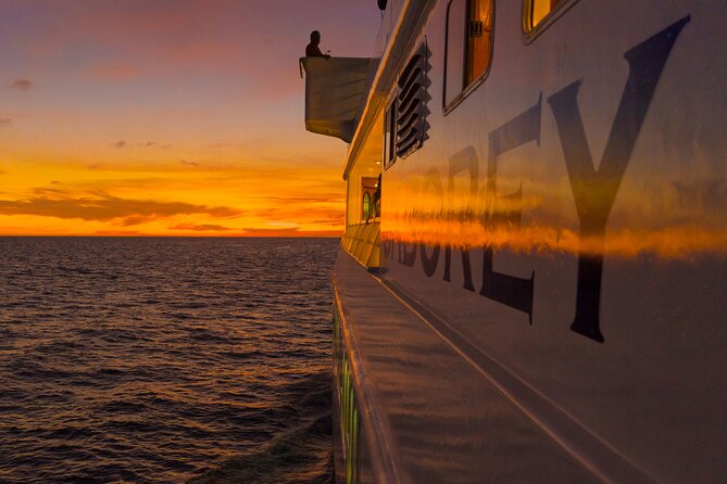 Sunset Premier Dinner Cruise With Show, DJ and Live Music - Sample Menu