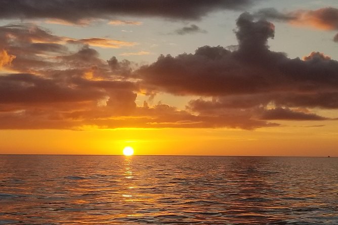Sunset Private Boat Trip in Naples FL With Secluded Island Stop With Your Dog - Tour Overview