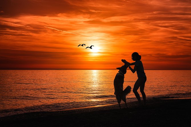 Sunset Private Boat Trip in Naples FL With Secluded Island Stop With Your Dog - Customer Reviews