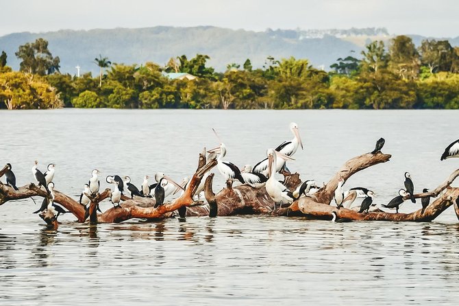 Sunset River Cruise Near Byron Bay - Meeting and Pickup Information