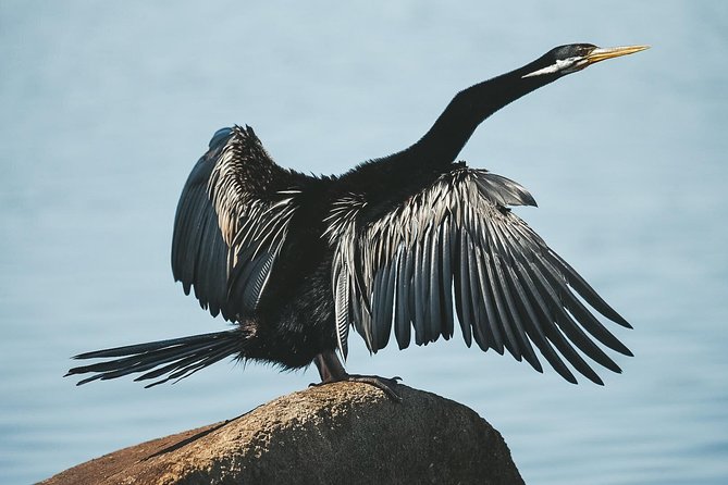 Sunset River Cruise Near Byron Bay - Reviews and Ratings