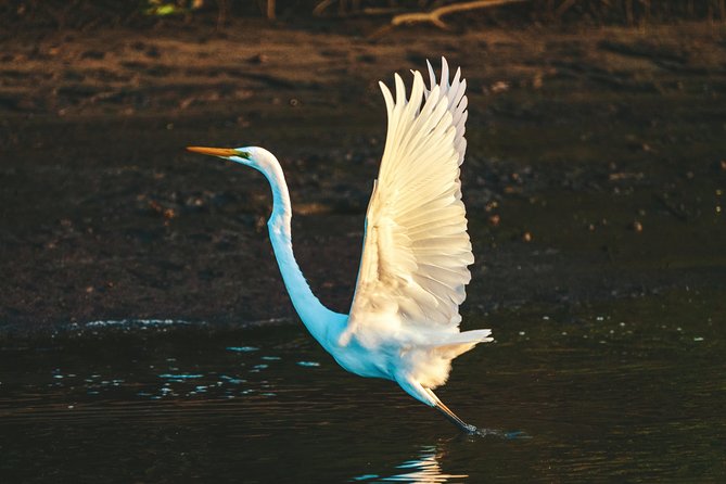 Sunset River Cruise Near Byron Bay - What to Expect on the Cruise