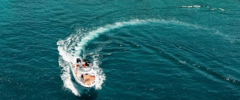 Sunset Safari Private Boat Trip - Highlights